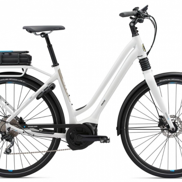 de jouwe Arena Aan het liegen ANWB elektrische fietsen test 2015. Welke e-bike is de beste?